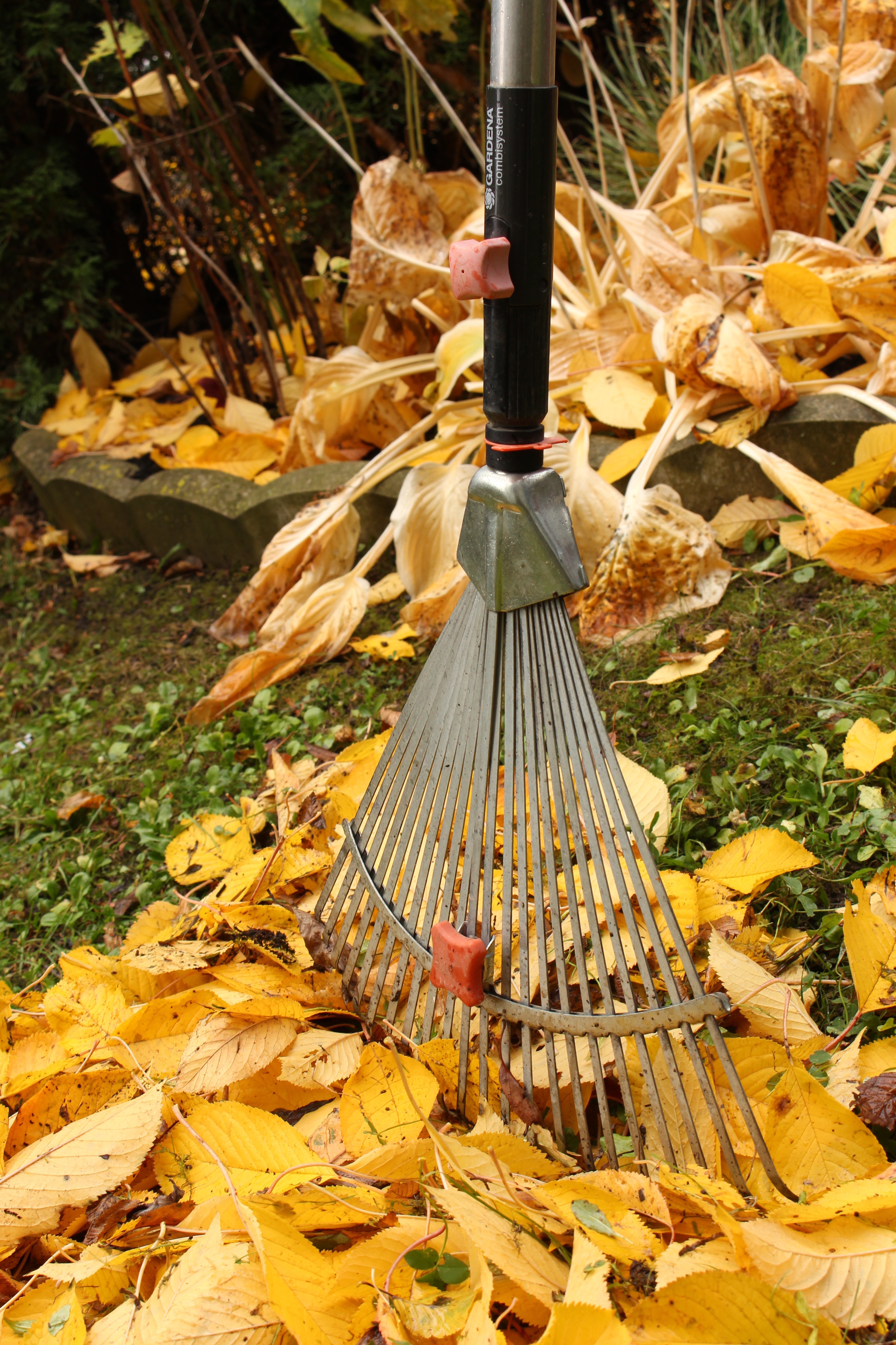 Gartenwerkzeug bei der professionellen Gartenpflege